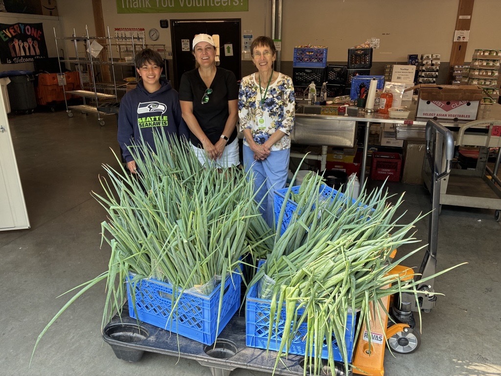Three members of the Marymoor Community Garden Association stand inside Hopelink’s Redmond food bank behind a donation of freshly harvested green onions. Shelving, produce bins, and a banner reading “Thank You Volunteers!” are visible in the background. The green onions fill the foreground, highlighting a large garden harvest ready for distribution at Hopelink’s no-cost food market. Three members of the Marymoor Community Garden Association stand inside Hopelink’s Redmond food bank behind a donation of freshly harvested green onions. Shelving, produce bins, and a banner reading “Thank You Volunteers!” are visible in the background. The green onions fill the foreground, highlighting a large garden harvest ready for distribution at Hopelink’s no-cost food market.