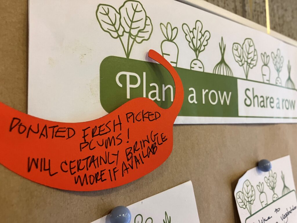 Close-up of a community garden donation display board featuring a “Plant a row, Share a row” sign illustrated with vegetable icons. An orange, vegetable-shaped note is pinned to the board with a handwritten message that reads, “Donated fresh picked plums! Will certainly bring more if available.” Additional pinned notes are visible in the background. Close-up of a community garden donation display board featuring a “Plant a row, Share a row” sign illustrated with vegetable icons. An orange, vegetable-shaped note is pinned to the board with a handwritten message that reads, “Donated fresh picked plums! Will certainly bring more if available.” Additional pinned notes are visible in the background.