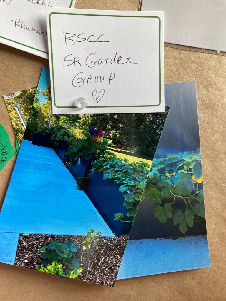 A community garden donation display board features a handwritten note reading “RSCC SR Garden Group” with a heart, pinned above several photographs of raised garden beds. The photos show lush green vegetable plants and flowers growing in dark-colored planter boxes along a bright blue pathway, highlighting a thriving senior center garden. A community garden donation display board features a handwritten note reading “RSCC SR Garden Group” with a heart, pinned above several photographs of raised garden beds. The photos show lush green vegetable plants and flowers growing in dark-colored planter boxes along a bright blue pathway, highlighting a thriving senior center garden.