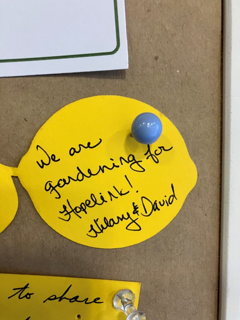 Close-up of a yellow, vegetable-shaped note pinned to a community garden donation display board with a blue pushpin. The handwritten message reads, “We are gardening for Hopelink! Hilary & David.” Close-up of a yellow, vegetable-shaped note pinned to a community garden donation display board with a blue pushpin. The handwritten message reads, “We are gardening for Hopelink! Hilary & David.”