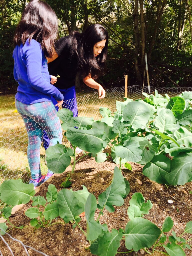 gardening