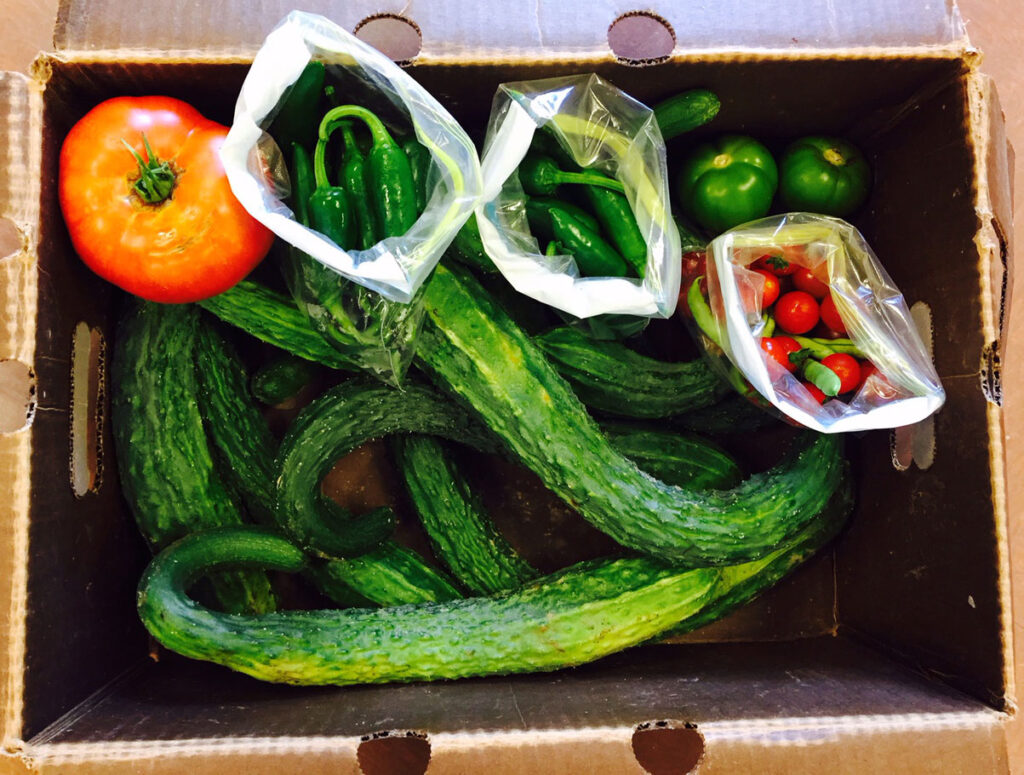 veggies boxed