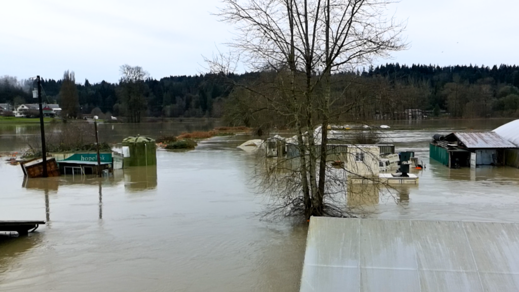 Located along the Snohomish River on Chinook Farms, Food Bank Farm was deluged when the river ran over its banks on the evening of December 10. Photo courtesy of Wes Barga. 