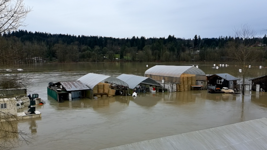 Owned by The Episcopal Church of the Holy Cross in Redmond and operated by Father Jim Eichner, Food Bank Farm donates all of its harvest to area food banks and pantries, including Hopelink's Food Assistance program. Photo courtesy of Wes Barga.